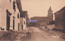 CPSM 9X14 De AÏNHOA (64) - RUE - MAISONS - POULES - édit BERGEVIN N° 14032 - RAMUNTCHO - Ainhoa