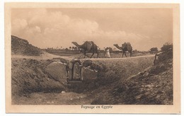 CPA - EGYPTE - Paysage En Egypte - Autres & Non Classés