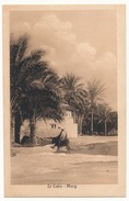 CPA - EGYPTE - Le Caire - Marg - Cairo