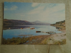 D148969 Wales  BALA LAKE  Or LLYN TEGID - Merionethshire