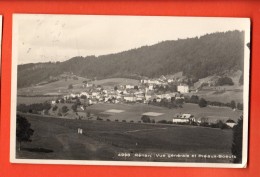 IBN-23  Renan District De Courtelary  Vue Générale Et Pré-aux-Boeufs. Cachet 1929 - Court