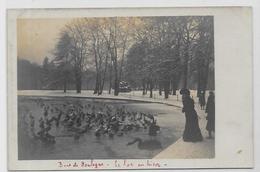 CPA Photo PARIS Non Circulé Bois De Boulogne - Autres & Non Classés