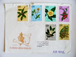 Cover From Cuba To Italy 1970 Plants Medicinales Herbal Flowers Fdc - Lettres & Documents