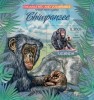 Uganda. 2012 Chimpanzee. (408b) - Chimpancés