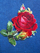 ""  JOLI   DECOUPI  GAUFRE  Roses   ""   8,5  Cm   -- - Flores
