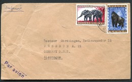 RUANDA URUNDI Cover GORILLA ELEPHANTS Used USUMBURA To East Germany 1960 - Covers & Documents