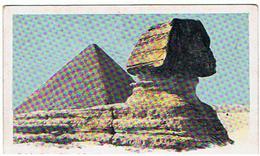 31 SPHYNX & PYRAMIDE   **** RARE      A    SAISIR ***** - Sfinge