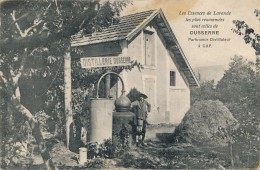 N71 - 05 - GAP - Les Essences De Lavande Les Plus Renommées Sont Celles De DUSSERRE - Parfumeur Distillateur à Gap - Autres & Non Classés