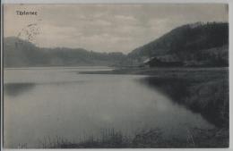 Türlersee - Stempel: Hausen A/A - Photo: E. Goetz No. 3130 - Hausen Am Albis 