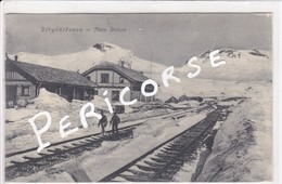 Norvège  Bergensbanen  Finse Station - Norwegen