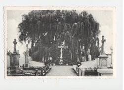 Delcampe - DEERLIJK - Calvarie Op Het Kerkhof - Photo J. Lefèvre - Deerlijk