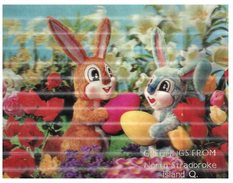 (112) Australia - QLD - Greeting From North Stradbroke Island - Easter Rabbit  - 3-D Postcard - 3 Dimenion - Gold Coast