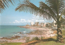 BR - Salvador - Praia E Farol Da Barba (avenuda Oceanica) [Bahia] - Parana-Cart.  N° 02 (circ. 1988 - Salvador De Bahia