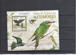 COMORES  Nº - Colibris