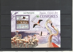 COMORES  Nº - Flamingo