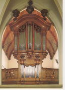 Berlare - Sint-Martinuskerk - Orgel Orgue In Vlaamse Rococostijl Lambert Van Peteghem 1796 - Berlare