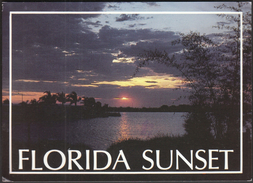 United States Fort Myers 1990 / Florida Sunset / Palms, Sun - Fort Myers