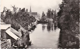 CPSM 77 - SOUPPES-sur-LOING - Les Bords Du Loing - Souppes Sur Loing