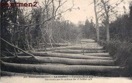 BAZOUGES -SUR-LOIR LA BARBEE PLATANES DE LA GRANDE ALLEE APRES LE CYCLONE DU 13 JUILLET 1923 SARTHE - Andere & Zonder Classificatie