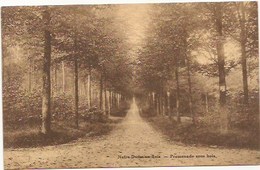 Notre Dame Au Bois - Jesus Eik:  Promenade Sous Bois - Overijse