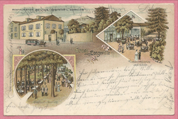 57 - GRUSS Aus LONGEVILLE - Litho Couleur - Restauration Bellevue - Besitzer L. SCHALLER - Garten - Tram - Metz Campagne