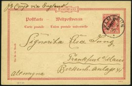 KAMERUN P 2 BRIEF, 1898, 10 Pf. Karmin, Stempel KAMERUN, Mit Rückseitiger Zeichnung Ein Afrikanischer Traum, ü - Kamerun