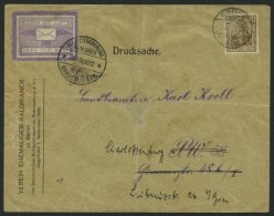 HALBAMTLICHE FLUGMARKEN 2A BRIEF, 1912, Bork-Brück Violett, Geflügelter Brief, Gezähnt, Auf Drucksachen F - Poste Aérienne & Zeppelin