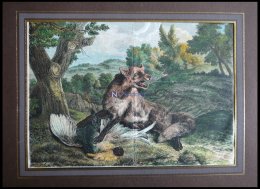 Fuchs Und Seine Beute (Fuchs Und Auerhahn), Kolorierter Holzstich Um 1880 - Lithographies