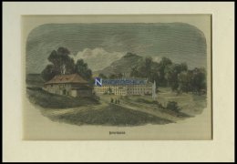 HEINRICHSBAD, Gesamtansicht, Kolorierter Holzstich Um 1880 - Lithographien