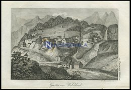 GASTEINER WILDBAD, Land Salzburg/Alpen, Gesamtansicht, Von Bergen Umschlossen, Kupferstich Von F. Rosmäsler Jun. Vo - Lithographies