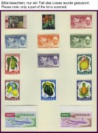 GUINEA *, **, 1959-68, Praktisch Komplette Sammlung Im Album (ohne Ungezähnte Ausgaben), Blocks Wohl Alle Postfrisc - Guinea (1958-...)