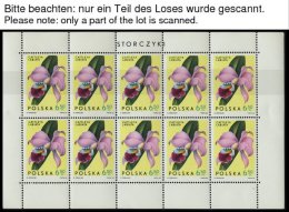 POLEN 1612-20KB **, 1965, Orchideen Im Kleinbogensatz, Herstellungsbedingte Gummiknitter, Pracht, Mi. 100.- - Other & Unclassified