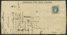 STERREICH 38Ic BRIEF, 1869, 10 Kr. Hellblau, Grober Druck, Auf Brief Mit K1 LEMBERG, Pracht - Gebraucht