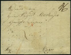 DÄNEMARK 1833, Brief Mit Inhalt Von Kopenhagen Nach Itzehoe, Handschriftlich Frey Und Rückseitiges Lacksiegel, - Used Stamps