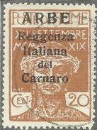 ARBE 1920 REGGENZA ITALIANA DEL CARNARO CENT. 20 C USATO USED OBLITERE´ - Arbe & Veglia