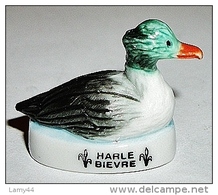 Canard Harle Bievre (J) - Animaux