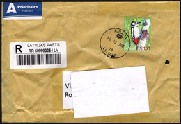 LATVIA RIGA 2016 - REGISTERED ENVELOPE - FRONT COVER - BIRDS: GREAT SPOTTED WOODPECKER - Pics & Grimpeurs