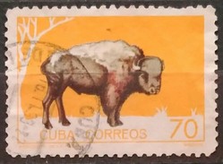 CU BA 1964 The Havana Zoo Animals. LIGERA DOBLEZ. USADO - USED. - Usados