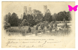 JUMIEGES - Vue Sur Les Ruines De L'Abbaye Prise Des Jardins - Jumieges