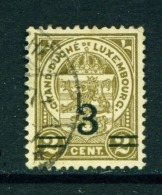 LUXEMBOURG  -  1918 To 1924  Surcharges  3 On 2c  Used As Scan - 1907-24 Coat Of Arms