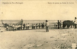 FIGUEIRA DA FOZ - Barcos De Pesca Na Costa De Lavos - (Ed. Adelino Alves Pereira) - PORTUGAL - Coimbra