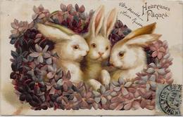 CPA Lapin Bunny Rabbit Circulé Gaufré Fantaisie Pâques Violettes - Other & Unclassified