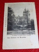 BOITSFORT -    Le Château De Charles-Albert   -  1901 - Watermael-Boitsfort - Watermaal-Bosvoorde