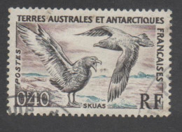 T.A.A.F. - Faune - Oiseaux : Shuas - Grand Labbe (Stercorarius Skua) - Rapace - - Usados