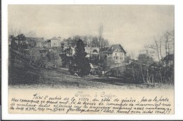 Delcampe - 16623 - Nyon Le Cardan - Nyon