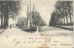 Thuin.    L'Avenue Des Drèves.  -   Charleroi  1909   Naar   Marcinelle - Thuin