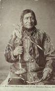 CPA  (INDIENS )  Red Crow (makesto) Chiefs Of The Blackfeet Nation 1895   (B BUR) - America