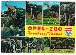 D-7468    KRONBERG : Opel-Zoo - Kronberg