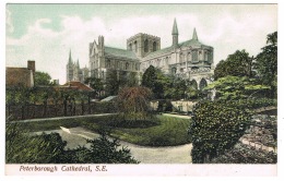 RB 1147 -  Early Postcard - Peterborough Cathedral South East - Cambridgeshire - Autres & Non Classés