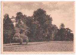 Lovenjoel. - Institut Médico-Pédagogique ; Ave Regina Genees- En Opvoedkundig Gesticht - Zicht Op Park - Bierbeek - Bierbeek